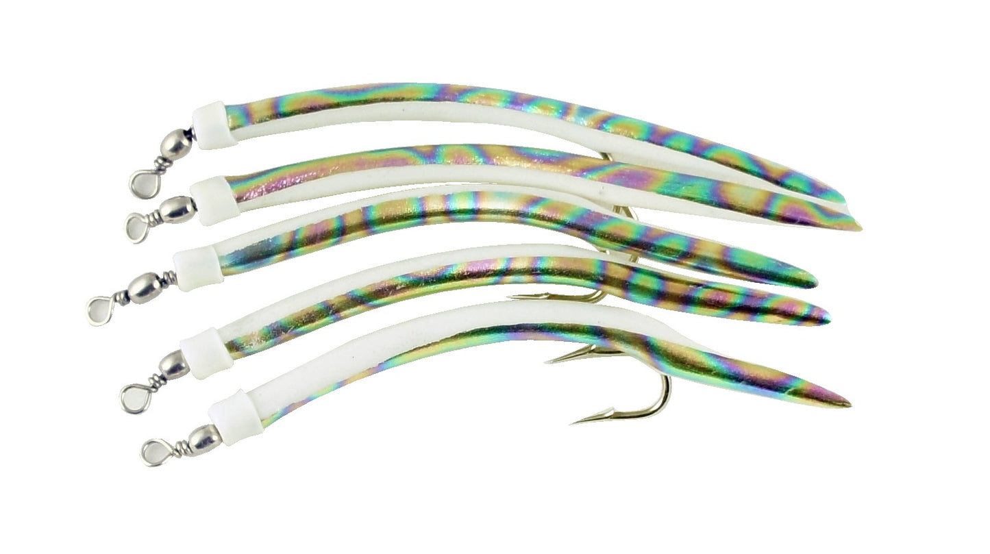 Tiger mackerel lineaeffe