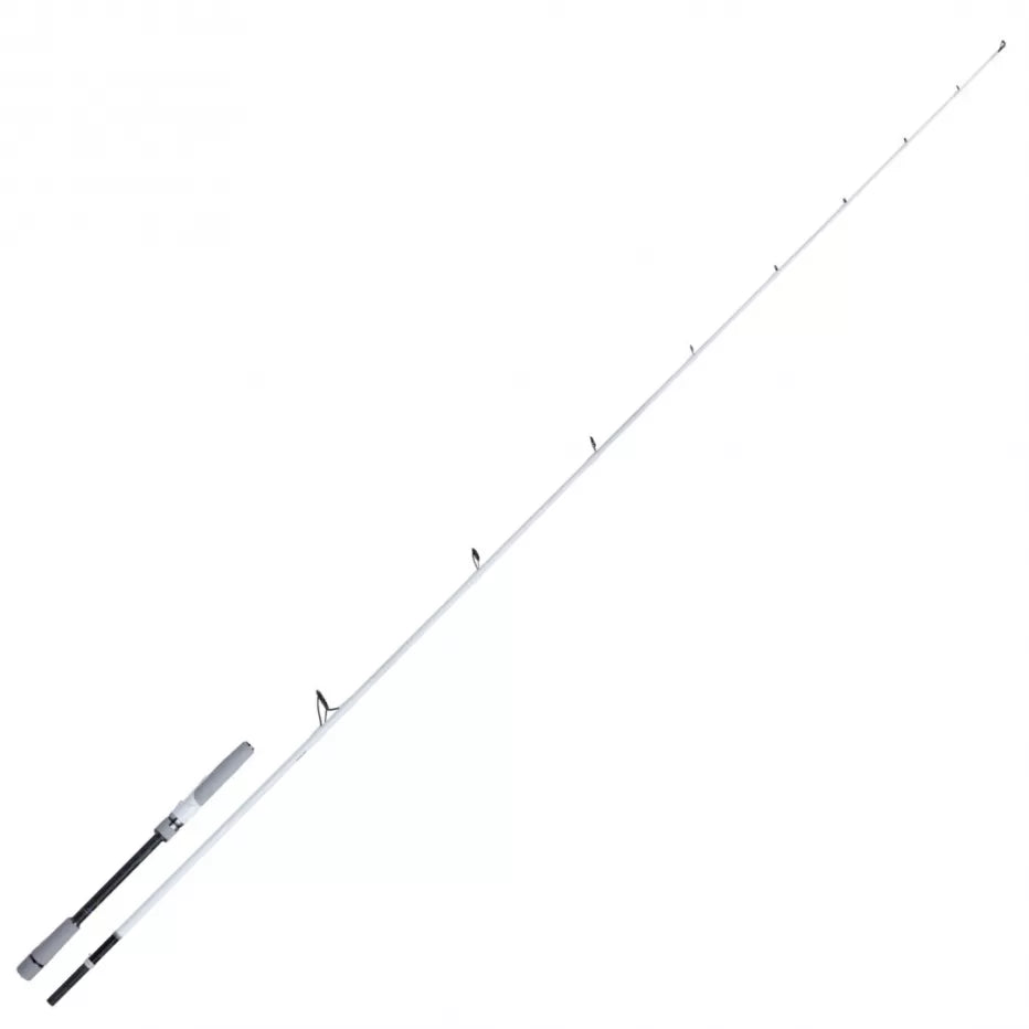 Shimano Canne Stradic Sea bass