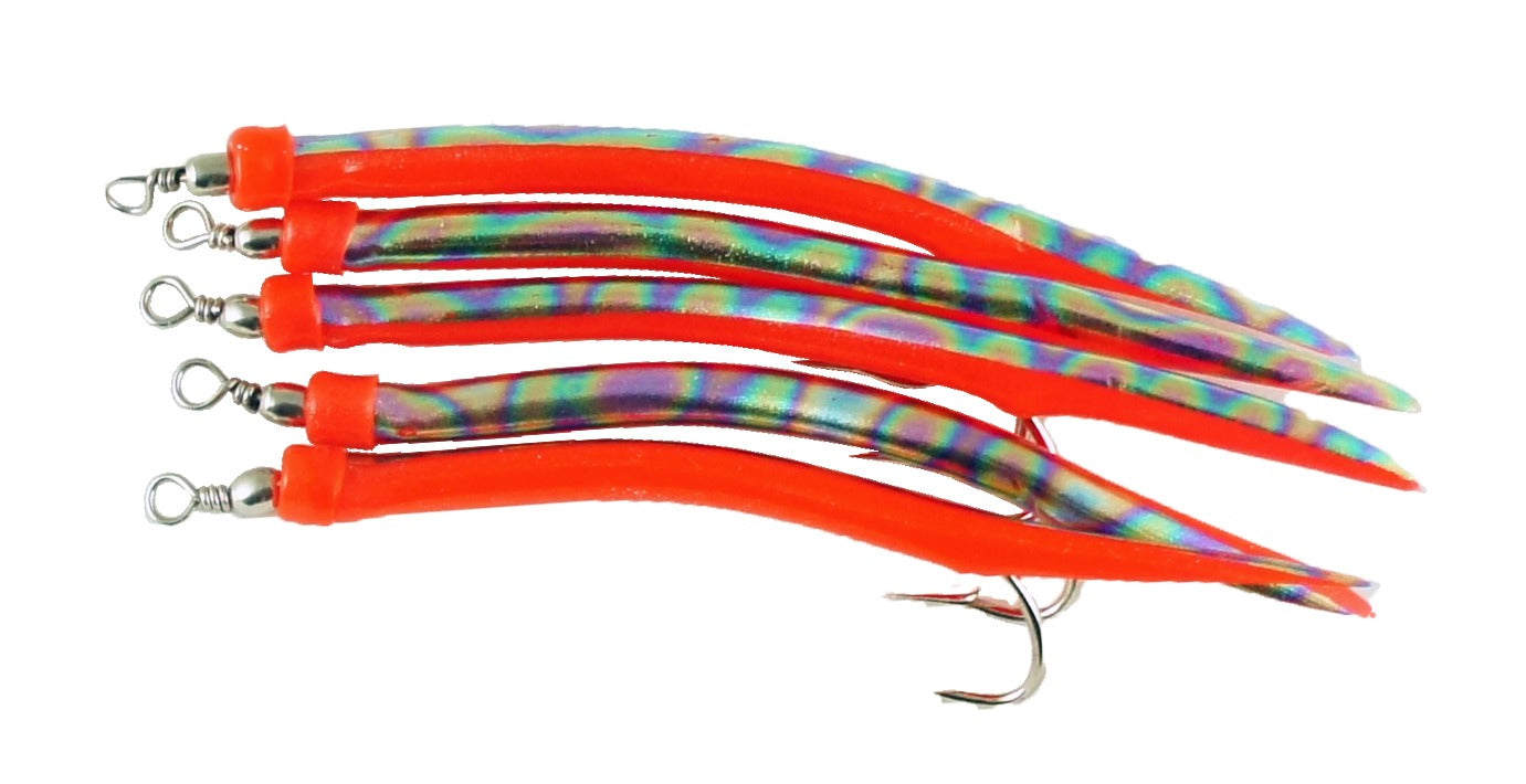 Tiger mackerel lineaeffe