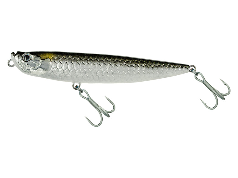 tarpon wtd molix